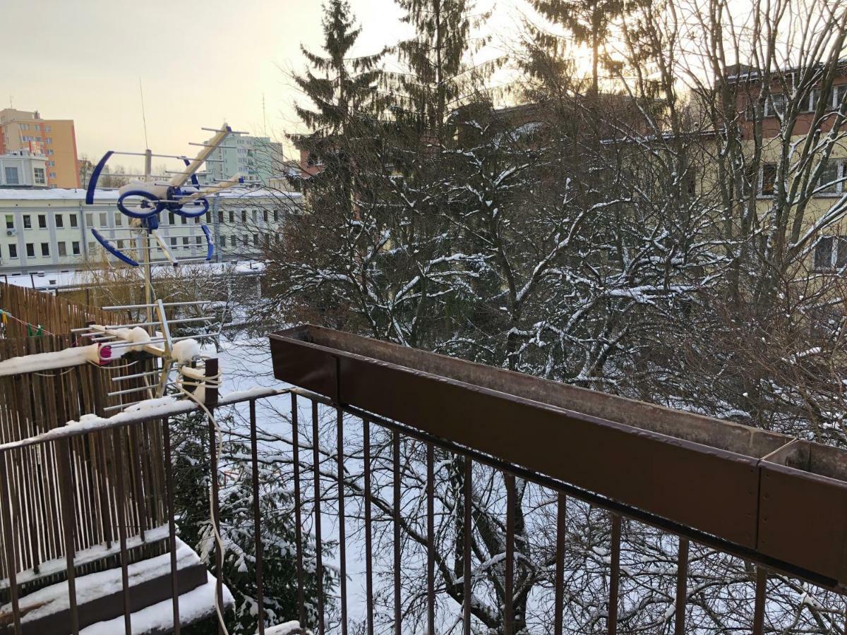 Cr Apartament Scisle Centrum Aleja Bluesa Белосток Экстерьер фото